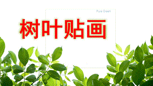 中班美术《树叶贴画》PPT课件教案树叶贴画中班美术活动PPT.pptx