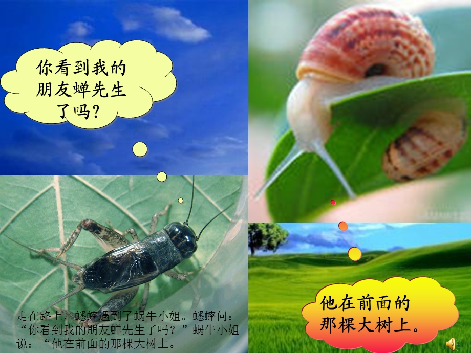 中班故事《快乐的夏天》PPT课件教案配音音乐ppt课件.pptx_第3页