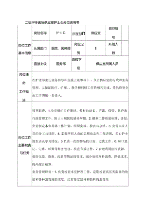 二级甲等医院供应室护士长岗位说明书.docx