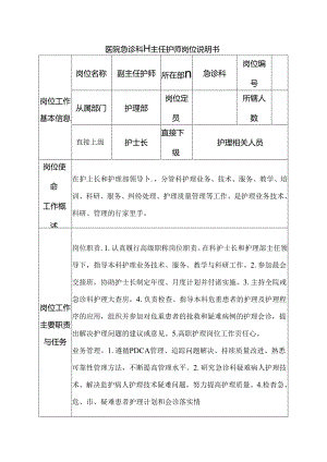 医院急诊科副主任护师岗位说明书.docx