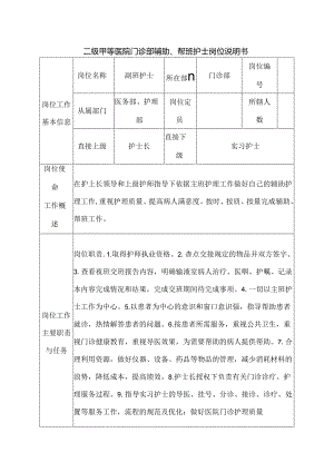 二级甲等医院门诊部辅助、帮班护士岗位说明书.docx