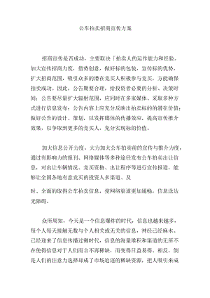 公车拍卖招商宣传方案.docx