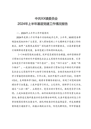 乡镇2024年上半年基层党建工作情况报告.docx