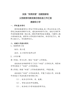 唐小双创汇报材料.docx