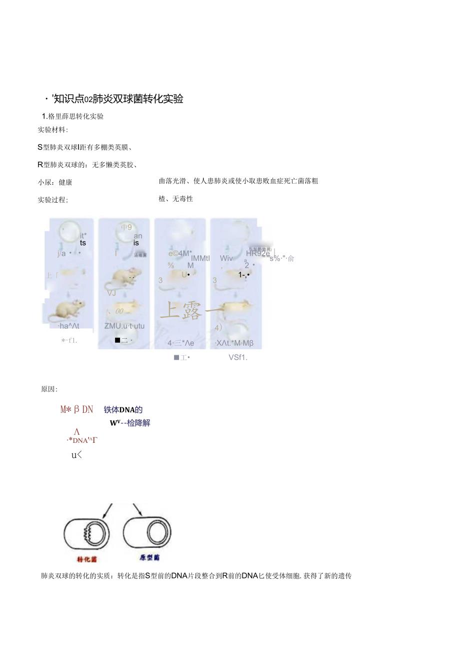 DNA是主要的遗传物质精品讲义.docx_第2页