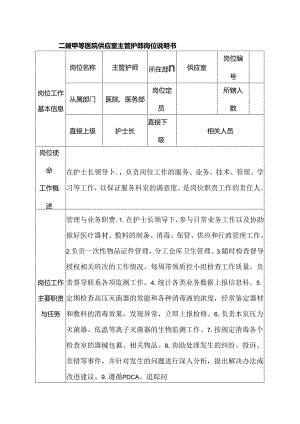 二级甲等医院供应室主管护师岗位说明书.docx