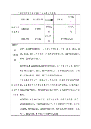 二级甲等医院手术室副主任护师岗位说明书.docx