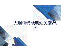 2024大规模储能电站关键技术与建设经验.docx