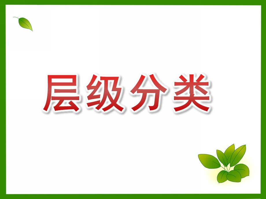 大班科学《层级分类》PPT课件教案微课件.pptx_第1页