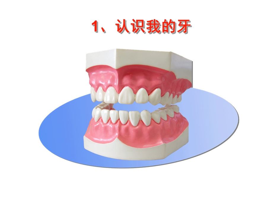 大班健康家长助教《保护牙齿》PPT课件教案PPT课件.pptx_第3页