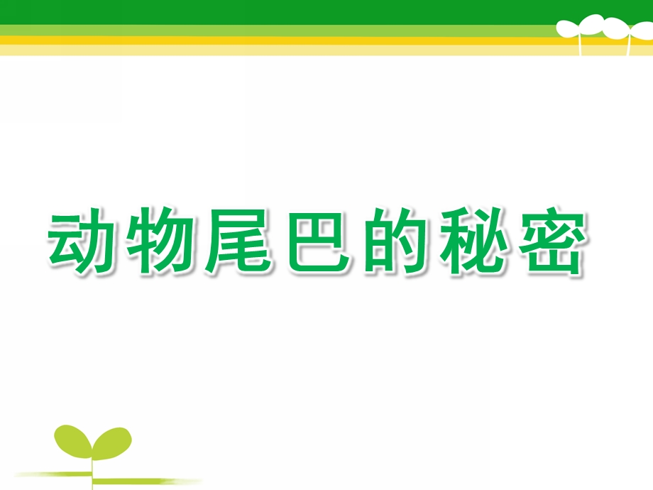 大班科学《动物尾巴的秘密》PPT课件教案动物尾巴的秘密.pptx_第1页