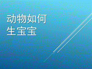 大班科学活动《动物如何生宝宝》PPT课件教案动物如何生宝宝.pptx