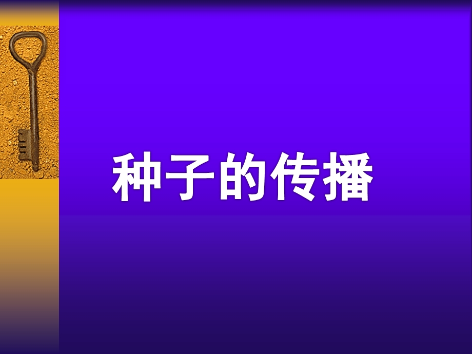 大班科学活动《种子的传播》PPT课件教案大班科学活动：种子的传播.pptx_第1页