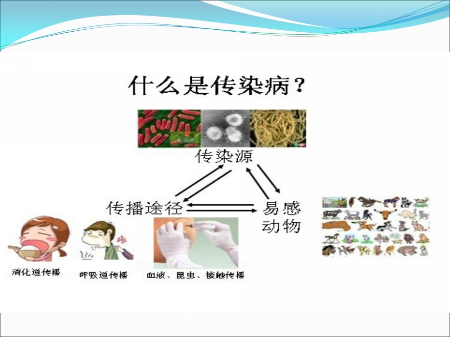 大班健康《预防疾病》课件PPT教案大班健康《预防疾病》讲义.pptx_第3页