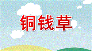 大班绘画《铜钱草》PPT课件教案微课件.pptx