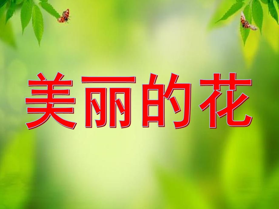 大班科学《美丽的花》PPT课件教案大班科学-美丽的花.pptx_第1页