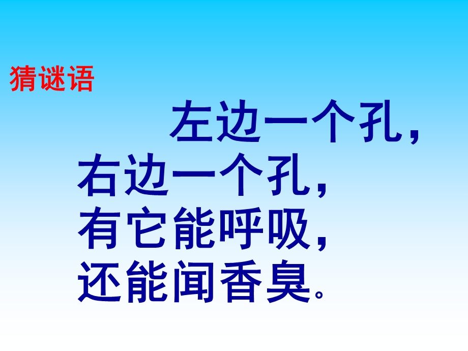 大班《鼻子的故事》PPT课件教案鼻子的故事课件.pptx_第3页