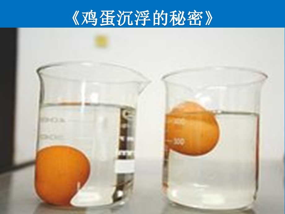 大班科学《鸡蛋沉浮的秘密》PPT课件教案微课件.pptx_第2页