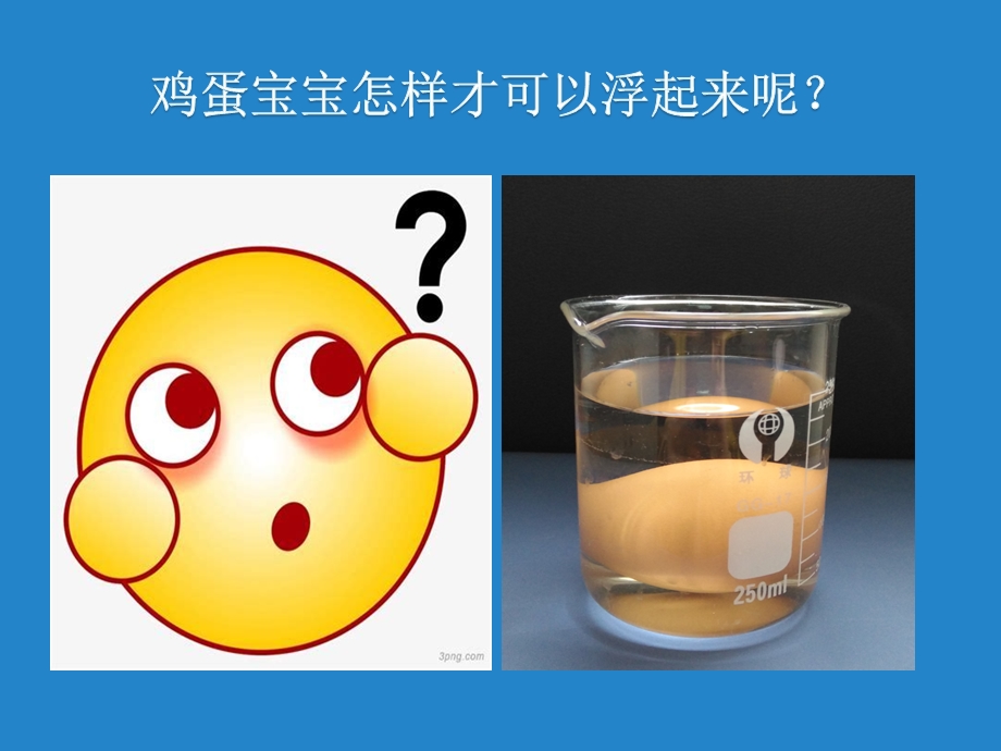 大班科学《鸡蛋沉浮的秘密》PPT课件教案微课件.pptx_第3页