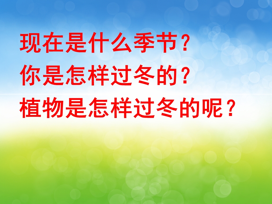 大班科学《植物怎样过冬》PPT课件教案PPT课件.pptx_第3页