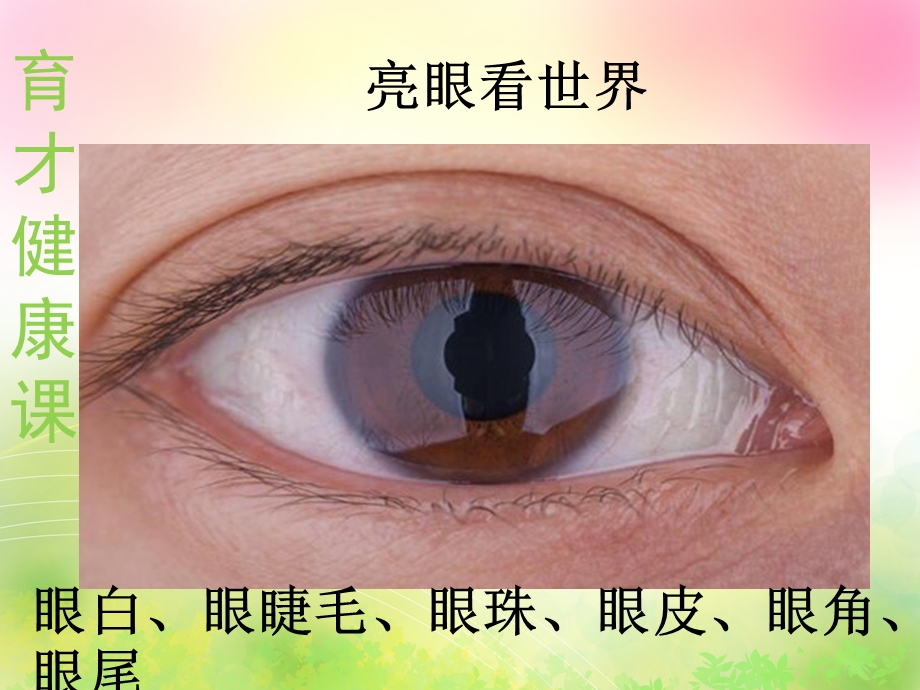 小班健康《亮眼看世界》PPT课件教案亮眼看世界.pptx_第3页