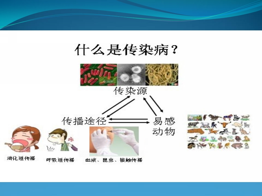 大班安全《预防疾病》PPT课件教案大班-安全：《预防疾病》.pptx_第2页