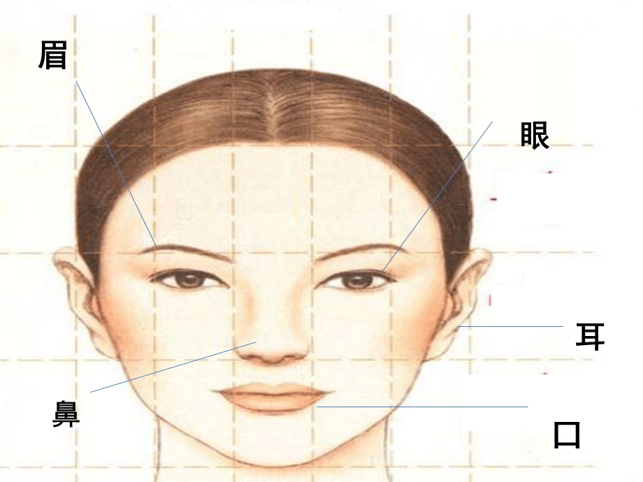 大班《健康日》PPT课件教案健康《健康日》.pptx_第3页