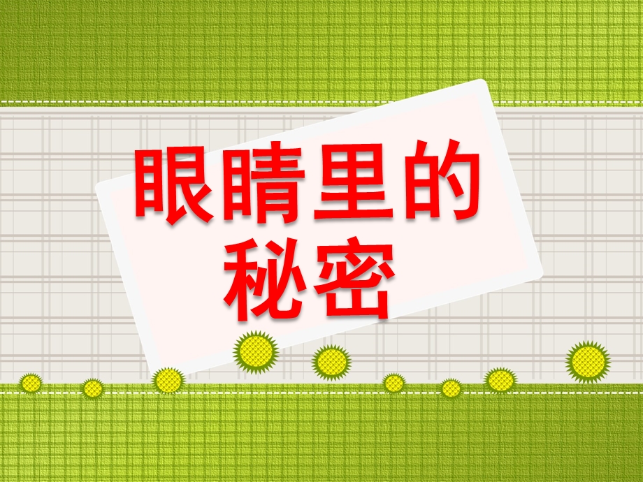 眼睛的秘密PPT课件教案图片大班健康眼睛的秘密.pptx_第1页