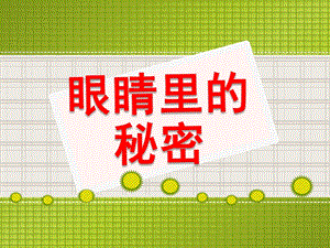 眼睛的秘密PPT课件教案图片大班健康眼睛的秘密.pptx