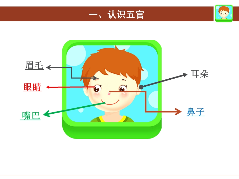 中班健康《认识五官》PPT课件教案微课件.ppt_第3页