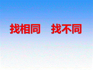 中班游戏《找相同找不同》PPT课件中班游戏《找相同找不同》PPT课件.ppt