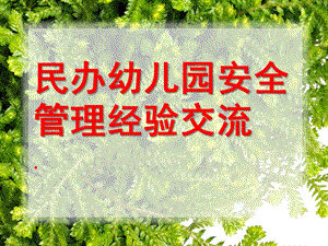 民办幼儿园安全管理经验交流PPT课件经验交流：幼儿园安全管理(修改稿.pptx