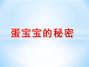 中班科学《蛋宝宝的秘密》PPT课件教案微课件.ppt