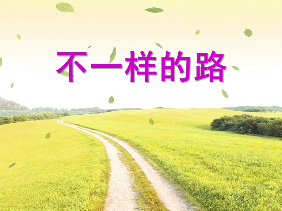 中班社会《不一样的路》PPT课件教案不一样的路.ppt_第1页