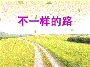 中班社会《不一样的路》PPT课件教案不一样的路.ppt