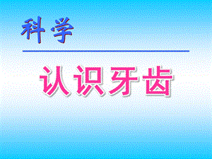 幼儿园科学《认识牙齿》PPT课件认识牙齿PPT课件.pptx