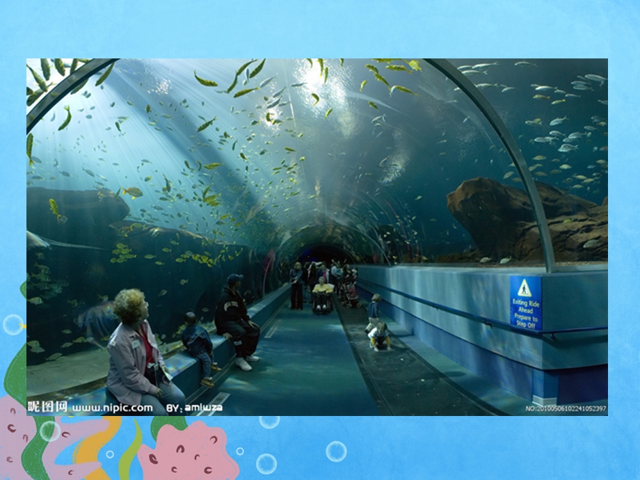 中班《水族馆》PPT课件教案中班水族馆.ppt_第2页