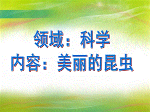 中班科学《美丽的昆虫》PPT课件教案幼儿园昆虫.ppt