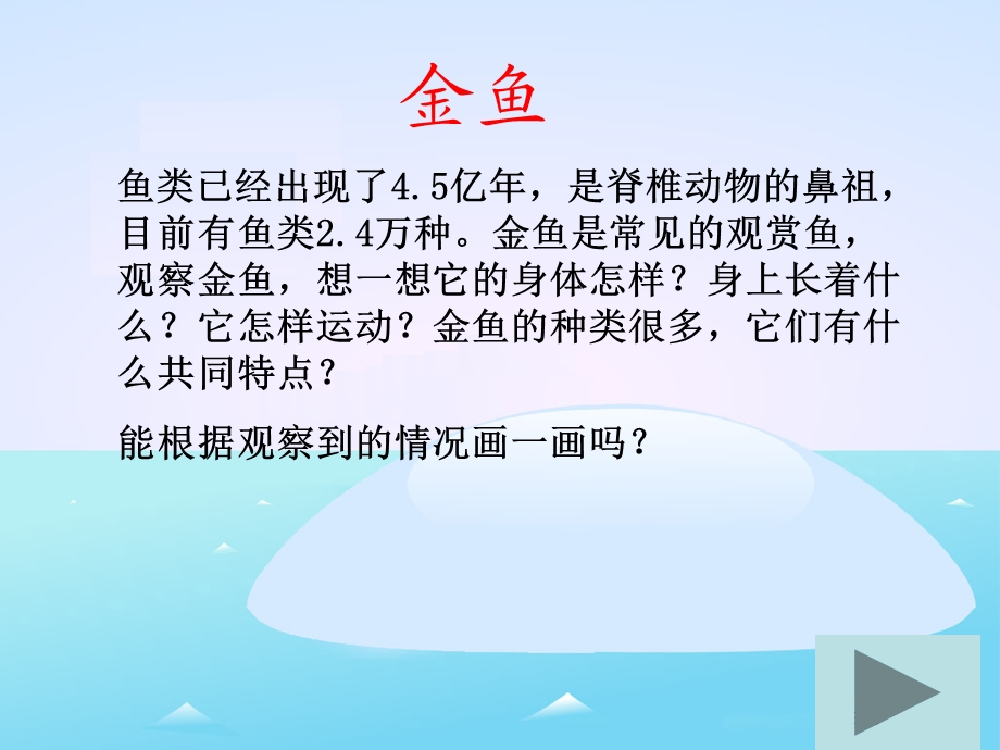 中班自然科学《金鱼与鲫鱼》PPT课件教案.ppt_第2页