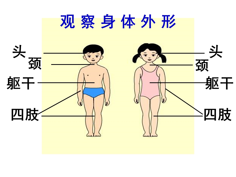 我的身体绘本故事PPT课件教案图片PPT课件.pptx_第3页