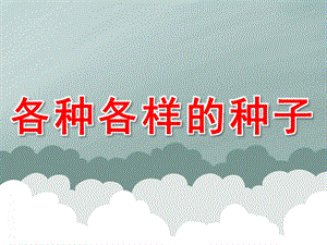 中班科学《各种各样的种子》PPT课件教案PPT.ppt