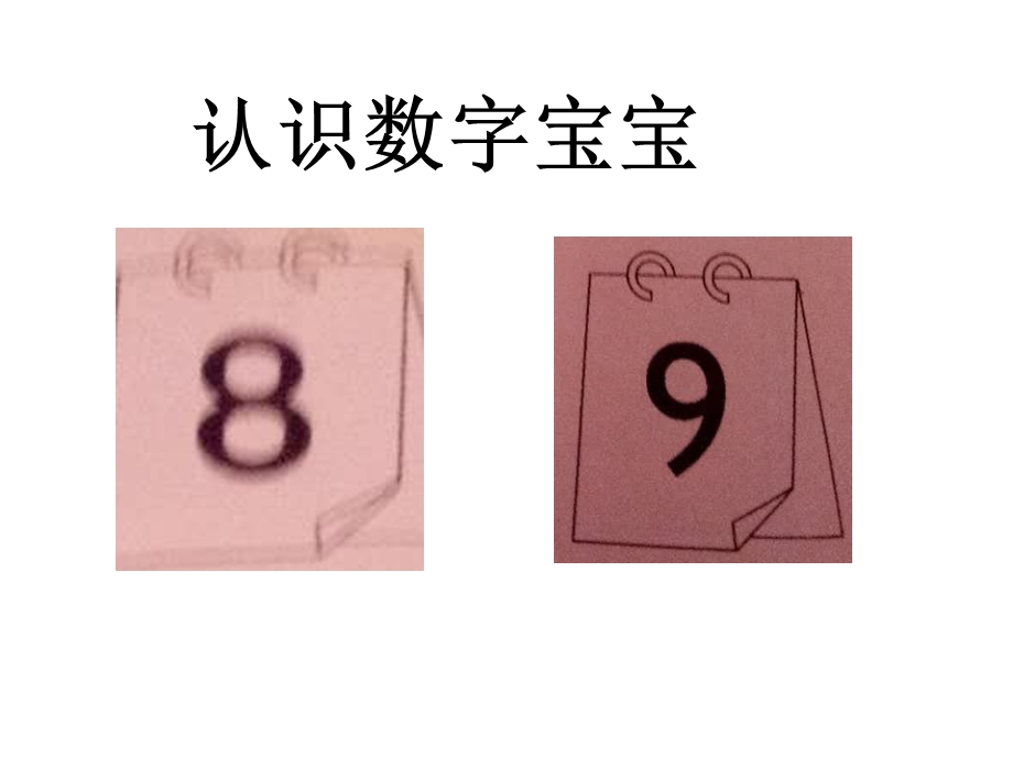 中班数学《认识数字8、9》PPT课件中班数学《认识数字8、9》PPT课件.ppt_第3页