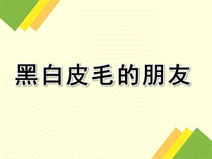 幼儿园《黑白皮毛的朋友》PPT课件教案黑白皮毛的朋友PPT.pptx