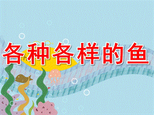 幼儿园科学《各种各样的鱼》PPT课件教案PPT课件.pptx