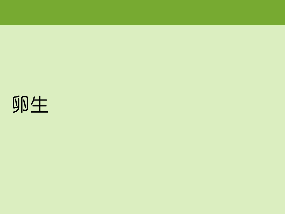 中班科学活动《动物怎样出生》PPT课件教案.ppt_第3页