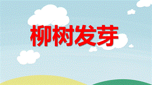 中班美术绘画活动《柳树发芽》PPT课件教案PPT课件.ppt