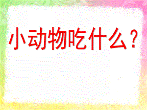 小班语言《小动物喜欢吃什么》PPT课件教案小动物吃什么.pptx