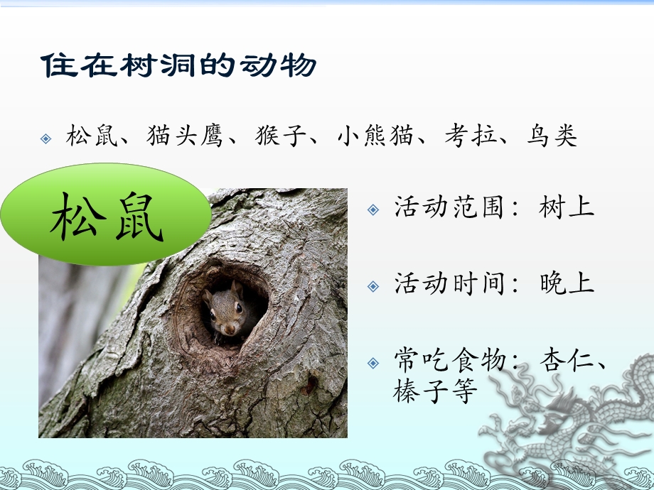 中班科学《住在洞里的动物》PPT课件住在洞里的动物.ppt_第3页