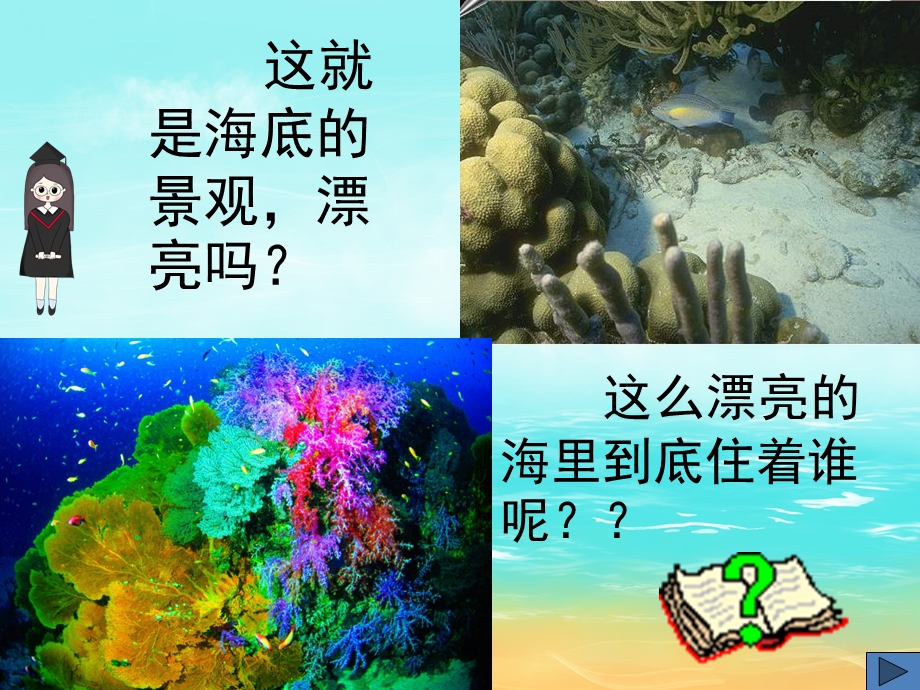 小班科学《海洋动物》PPT课件PPT课件.pptx_第2页