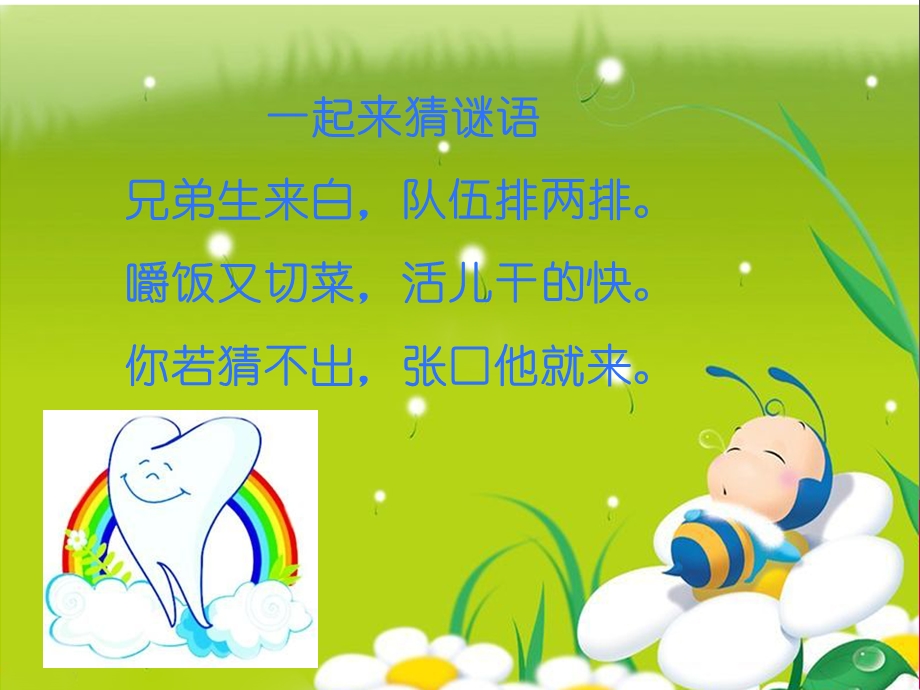 幼儿牙齿保健PPT课件幼儿牙齿保健.pptx_第2页